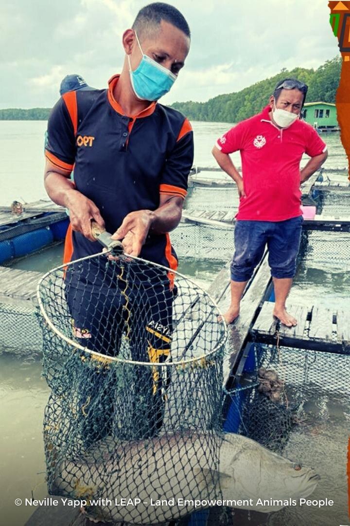 Community fisheries work by ICCA Consortium member LEAP. Photo: Neville Yapp with LEAP — Land Empowerment Animals People.